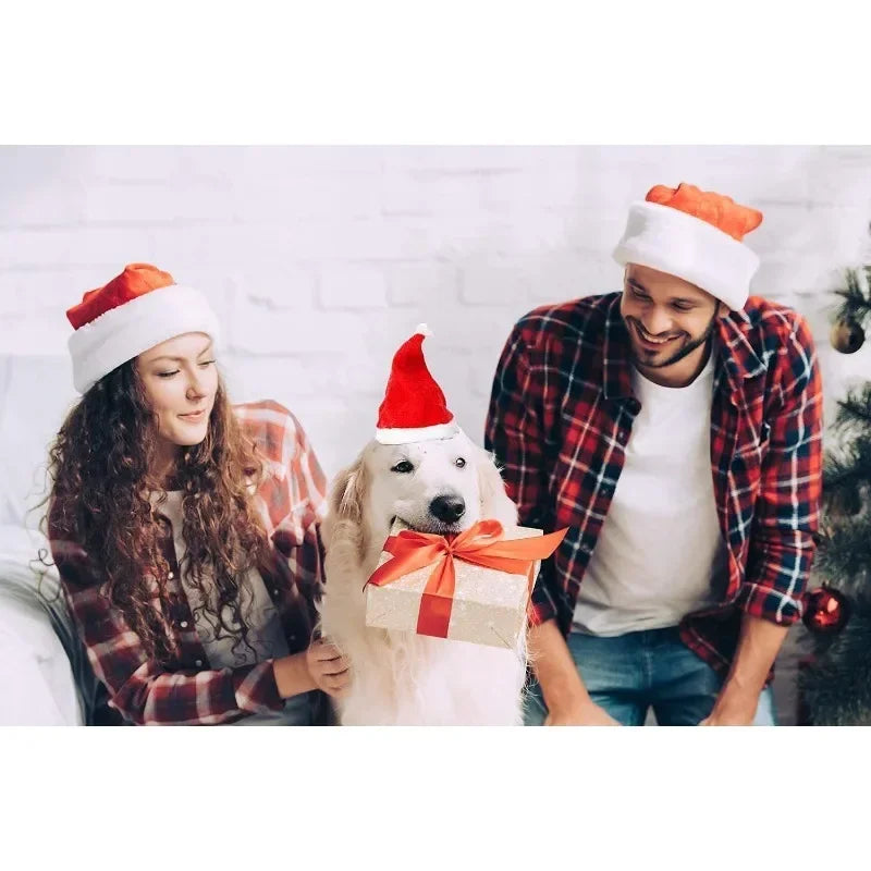 Christmas Pet Santa Hat Red Plush Soft Holiday Cap for Dogs and Cats Festive Party Costume Accessory Cute Photoshoot Decoration
