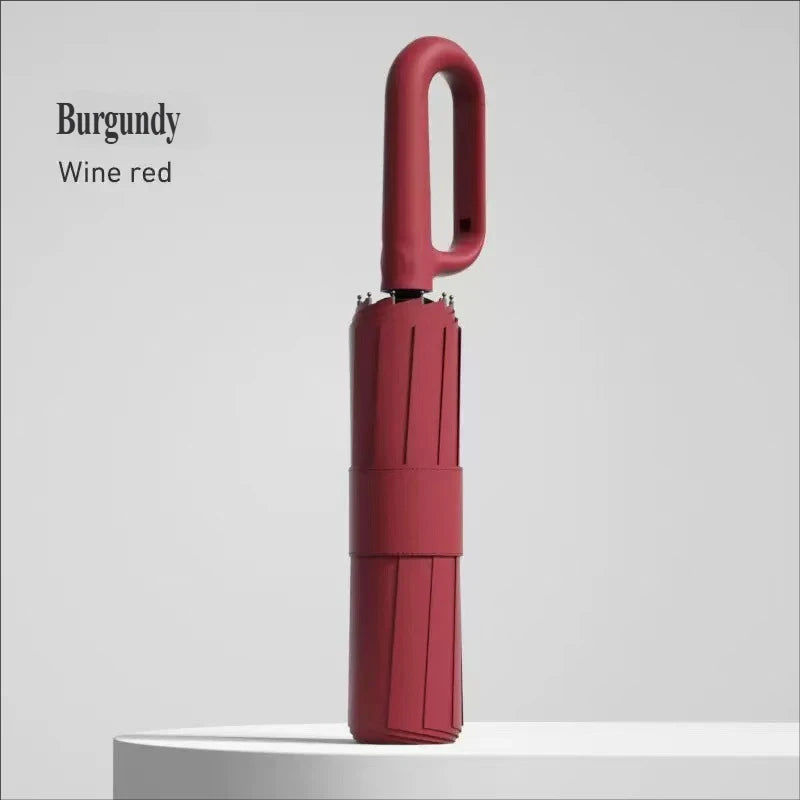 Windproof Automatic Umbrella - Double Layer Resistant Rain Gear